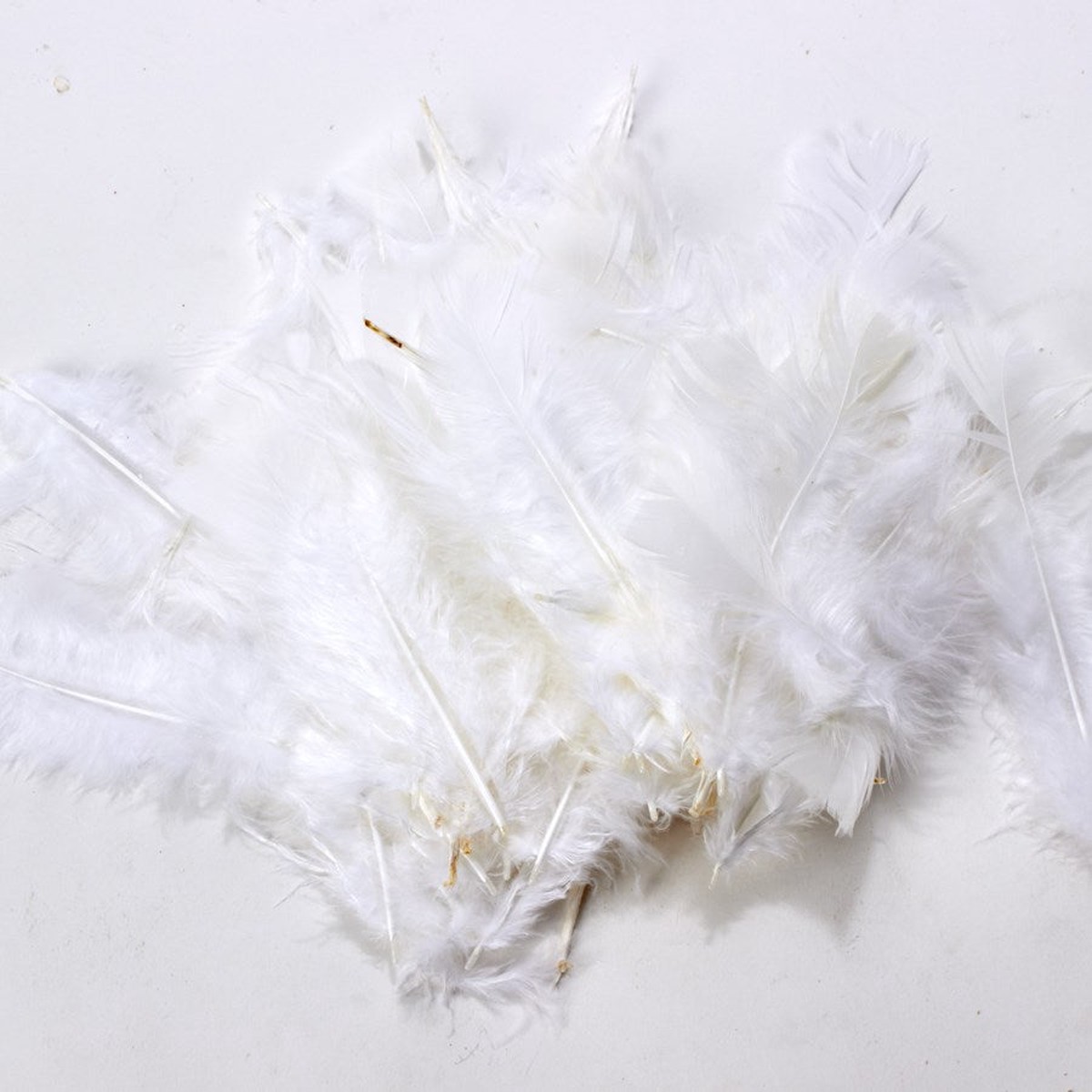 All Purpose Feather – White
