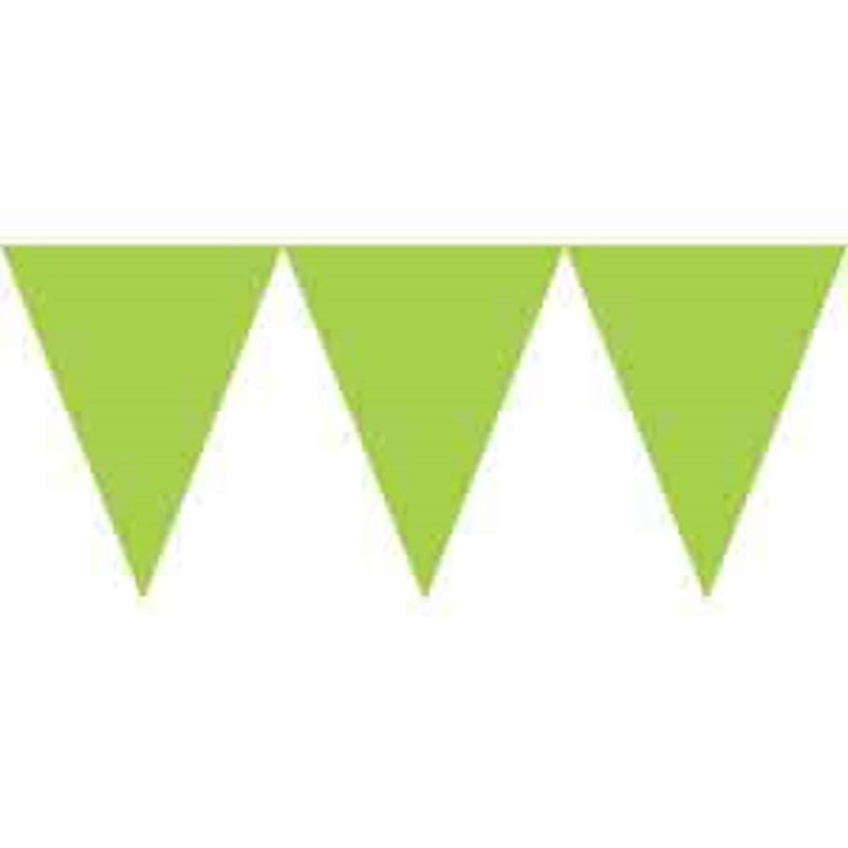 Pennant Paper Banner – Kiwi
