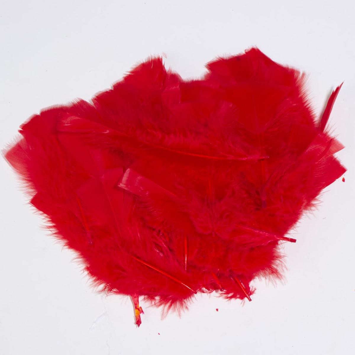 All Purpose Feather – Red