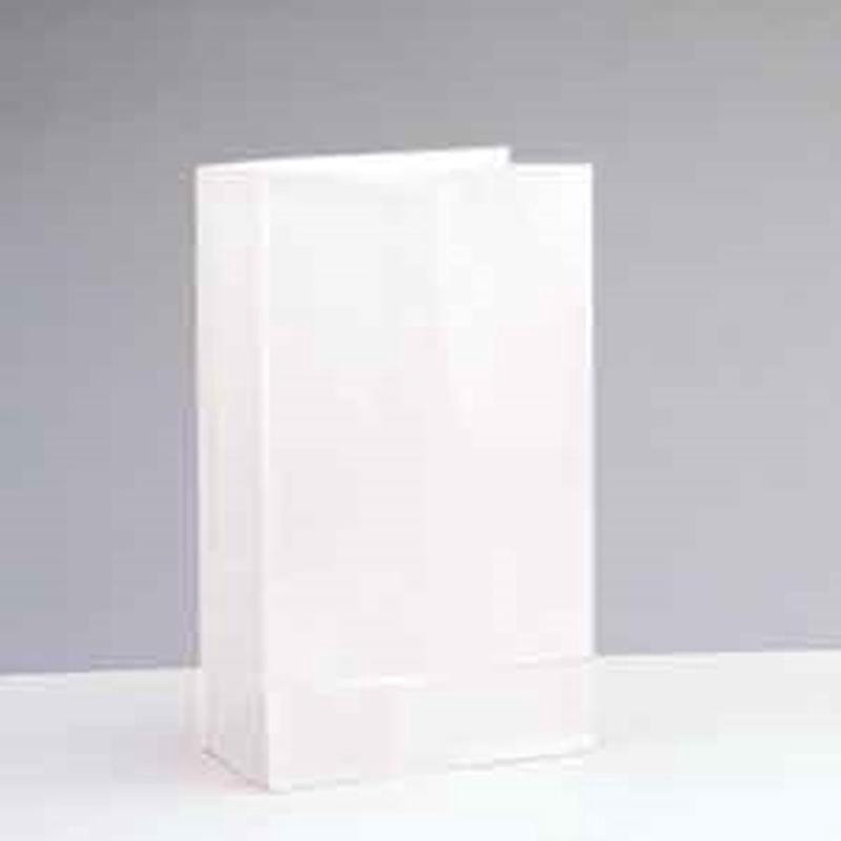 White Paper Party Bags 12ct